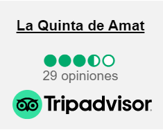 Tripadvisor 3 y medio de 5